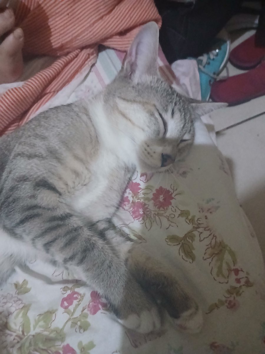 tori. ★ vai ser 173! tweet media