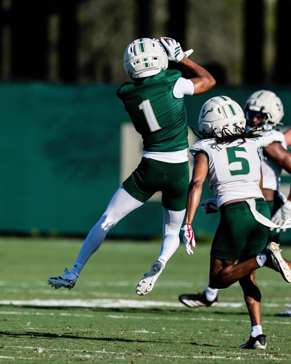 Wiregrass Ranch High School Football tweet media