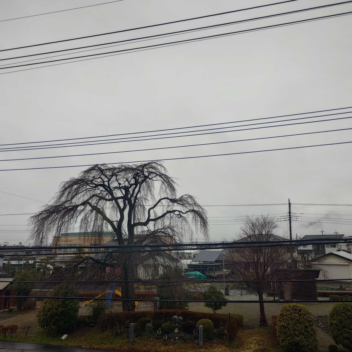 (株)たけのうち電器 tweet media