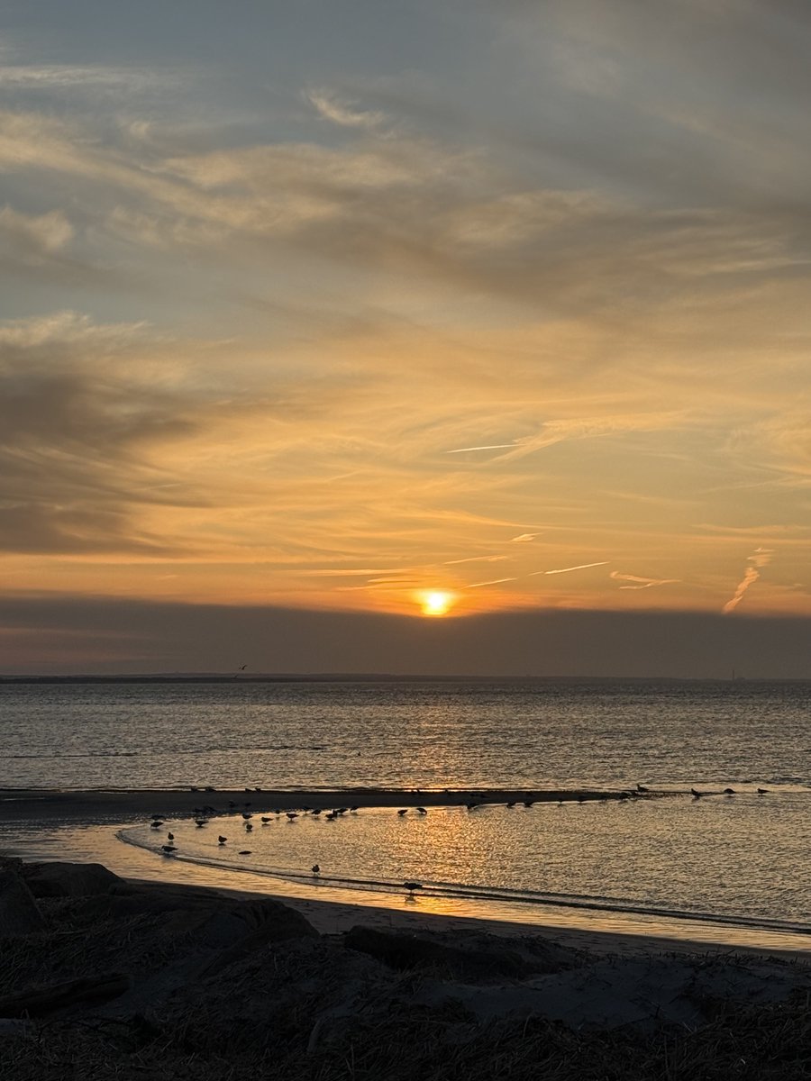 mmuhlfelder's tweet image. I just love it here on a #calmocean #capecodbay