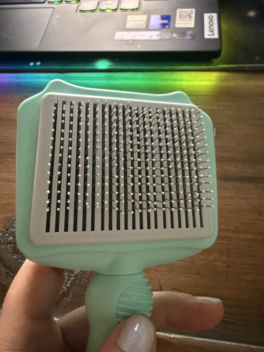 💫 TinyTigerXO 💫 tweet media