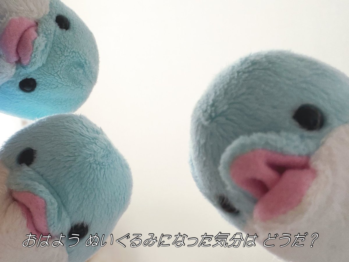 ささやか生活 tweet media