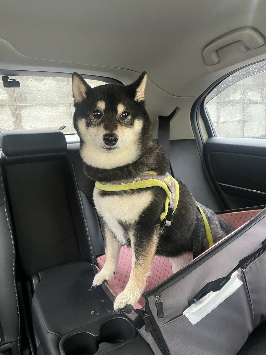 関美能留 tweet media