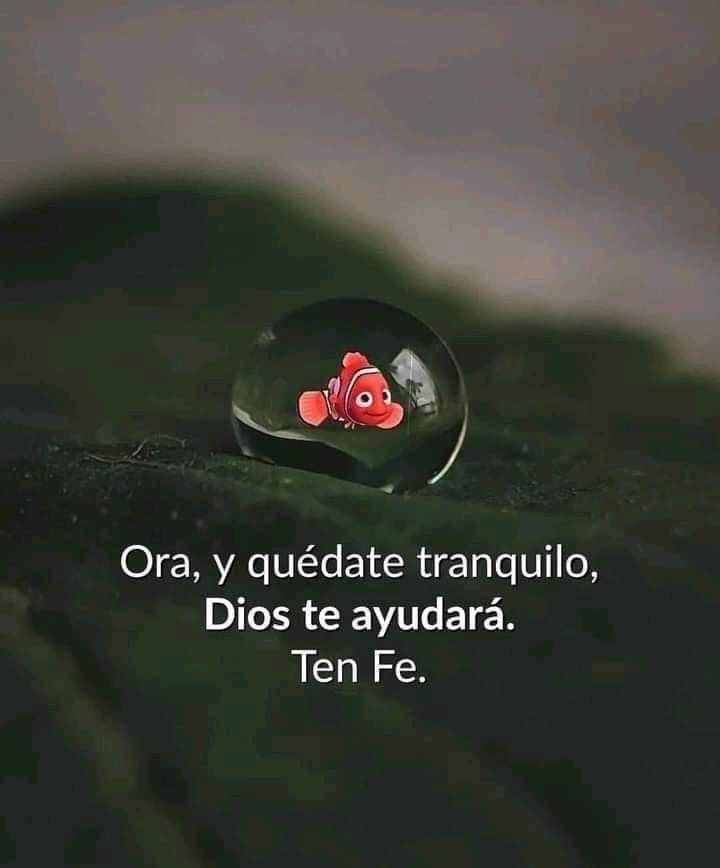 Aroma de Jesús (@aromadejesus) on Twitter photo 