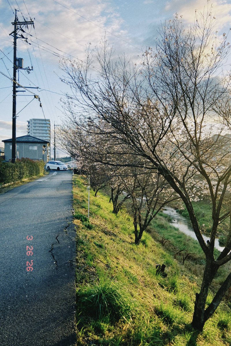 navy0220photo's tweet image. 朝Runの景色
#dazz