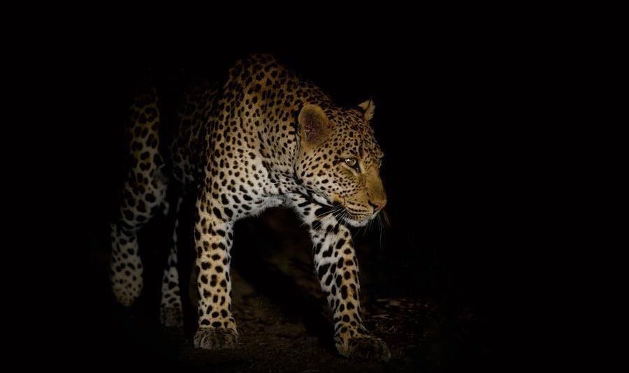 𝔫𝔬𝔫𝓎 tweet media