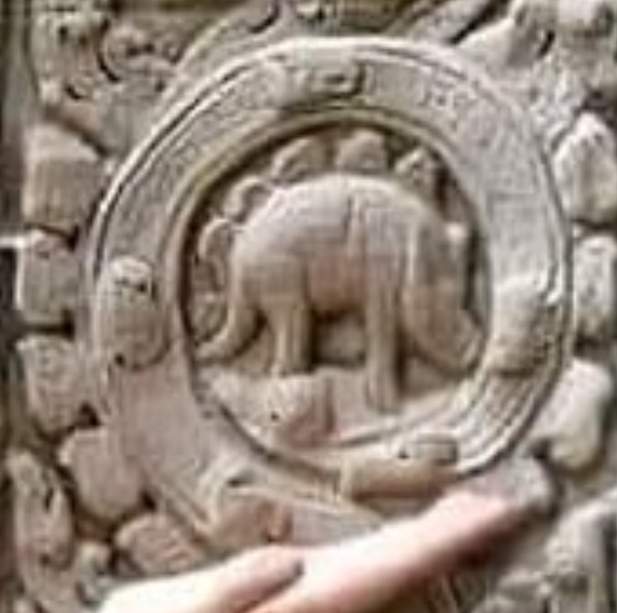 Observatory for Parliamentary Systems tweet media