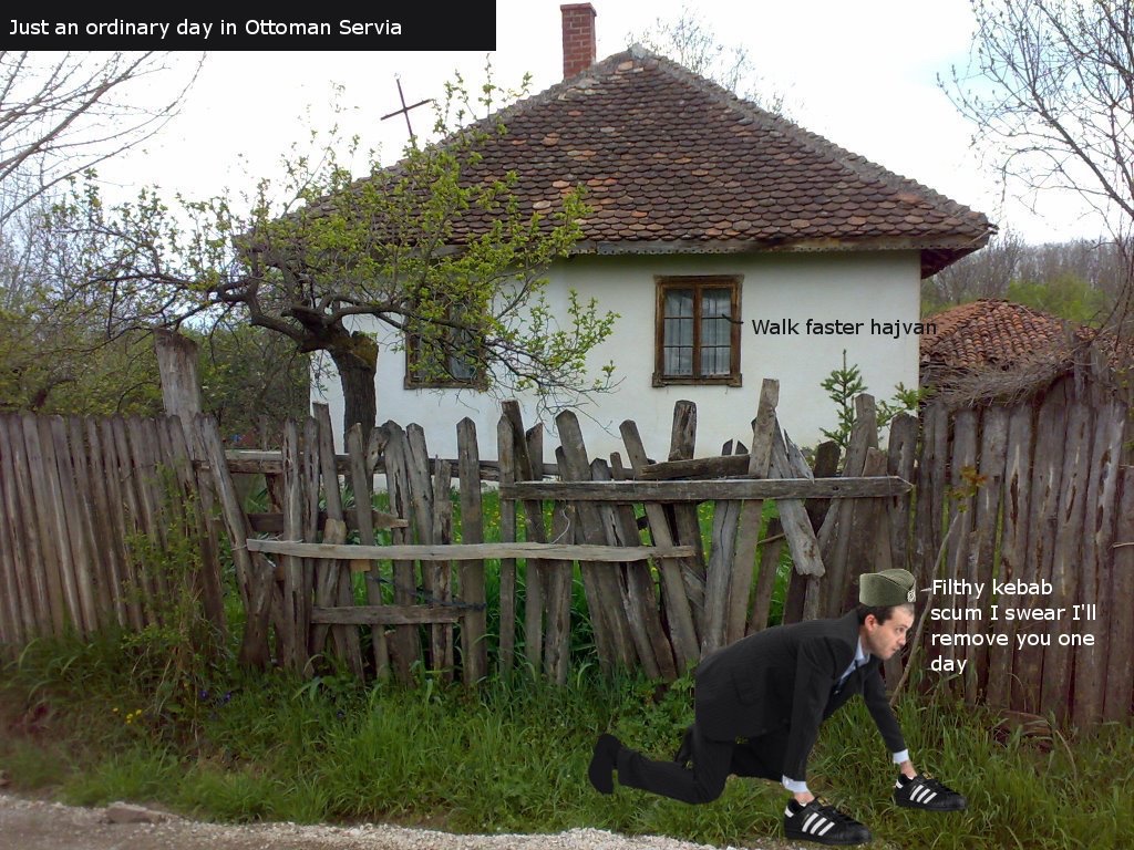 Xhim Belushi tweet media