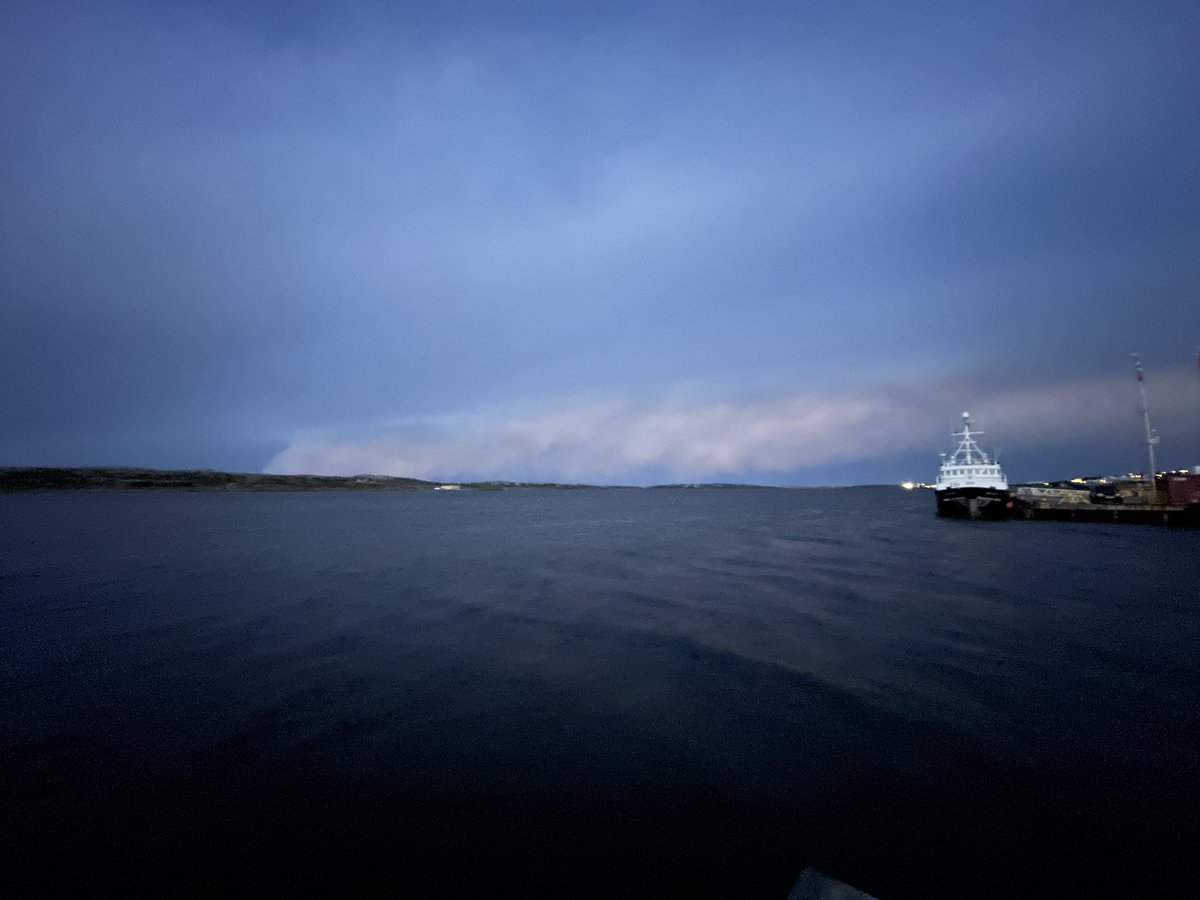 Gavin Phillip Short tweet media