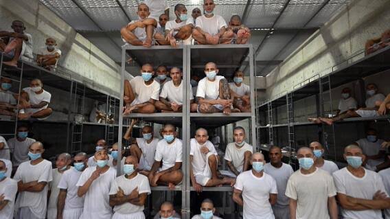 Thomas Bernhard tweet media