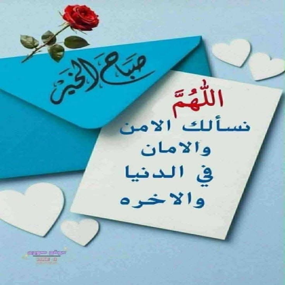 💐🌹مزعله النساء 🖤💛 tweet media