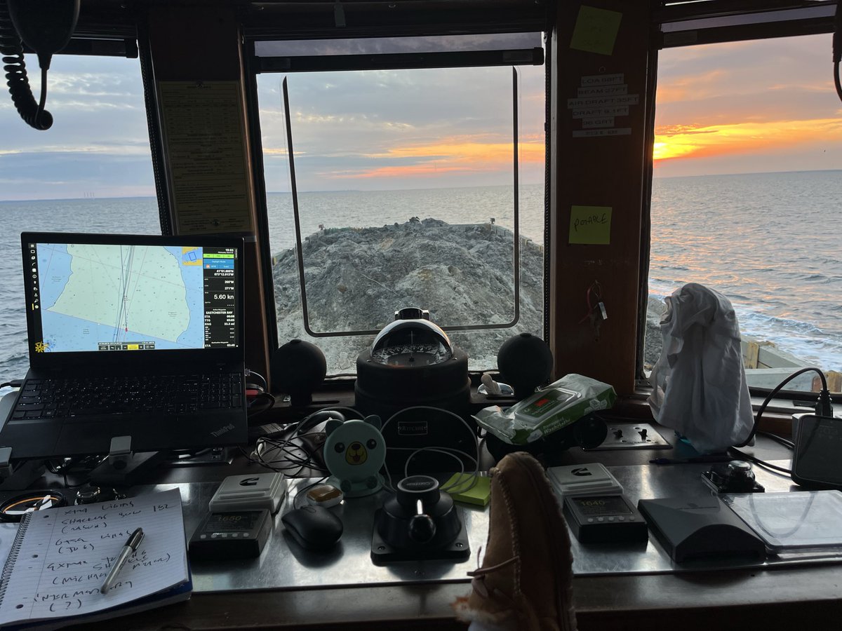 ๐ผ๐๐๐๐๐๐ต๐๐๐ tweet media