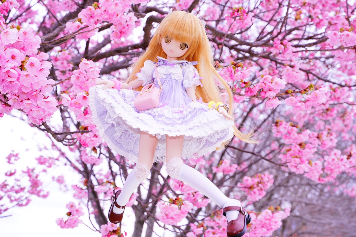 こじこじ tweet media