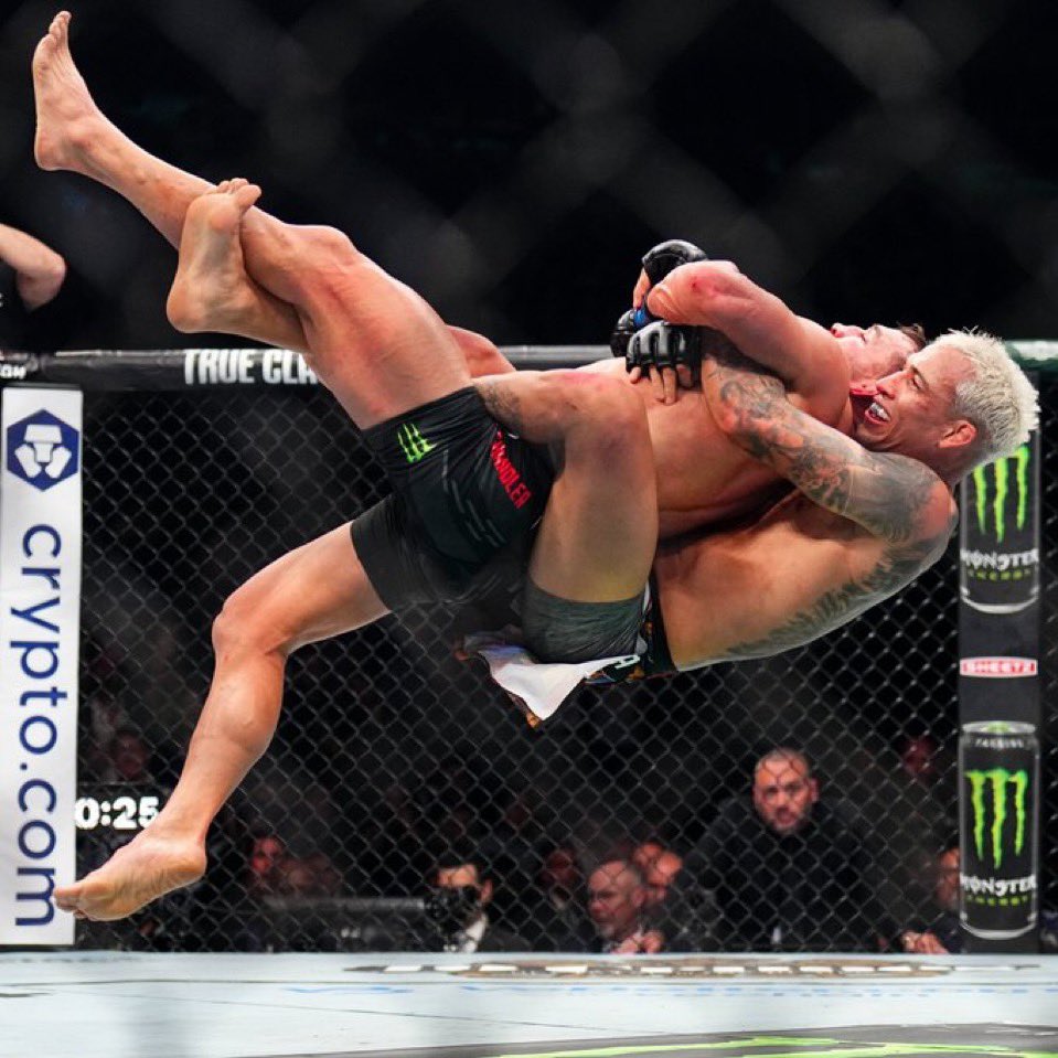 TheWormLumbriga tweet media