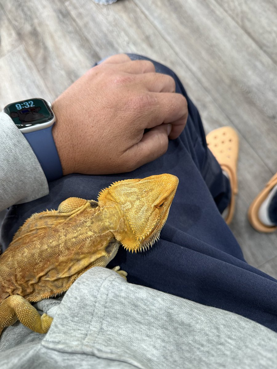 Stracko.eth tweet media