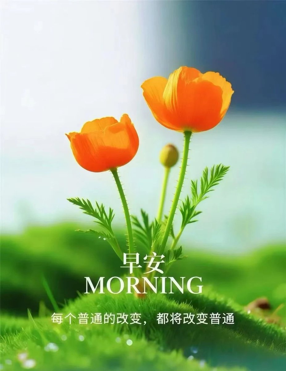 遇见(互fo) tweet media