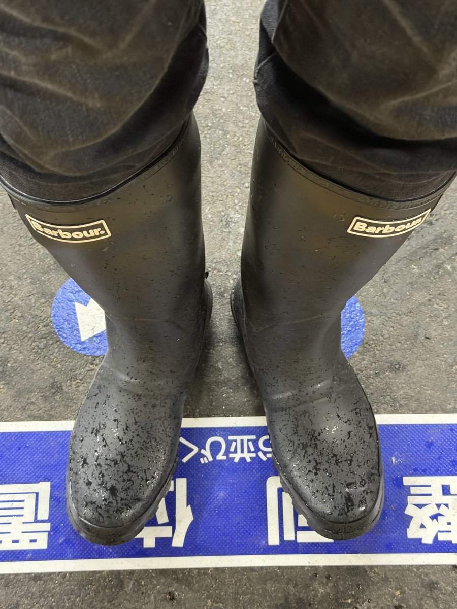 RB lover tweet media