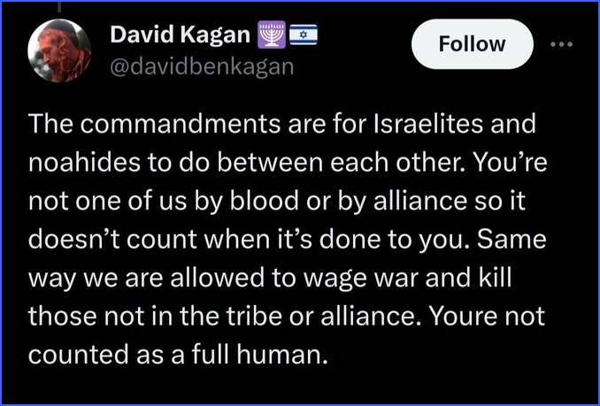 Global Observatory tweet media