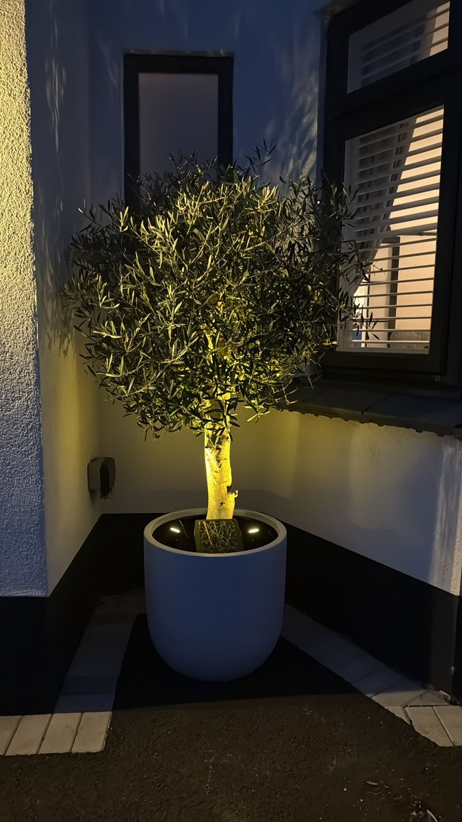 L E X | Investing, Trading, Property tweet media