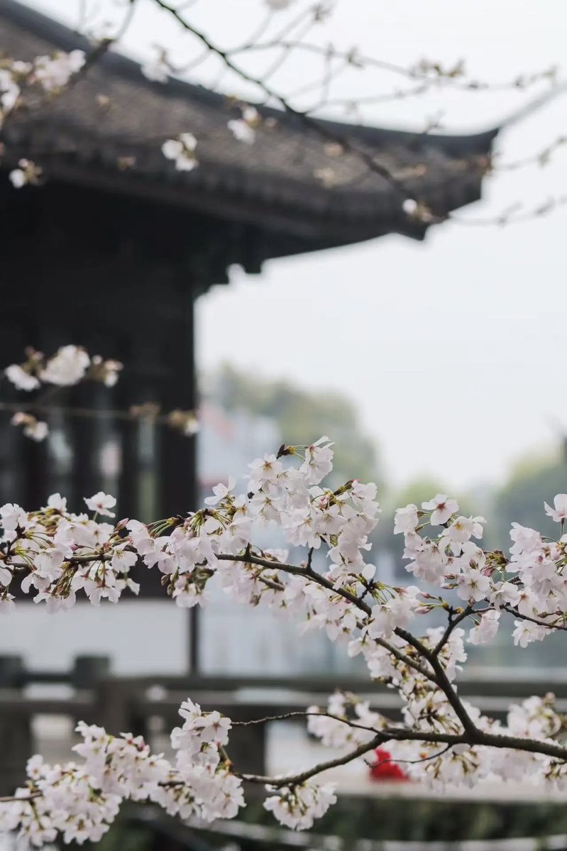 Yislee000(互FO🥂) tweet media