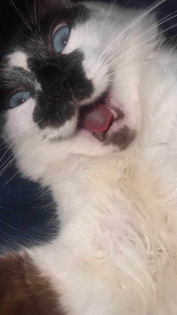 • puru • pegou na mão do wonho e agora só chora tweet media