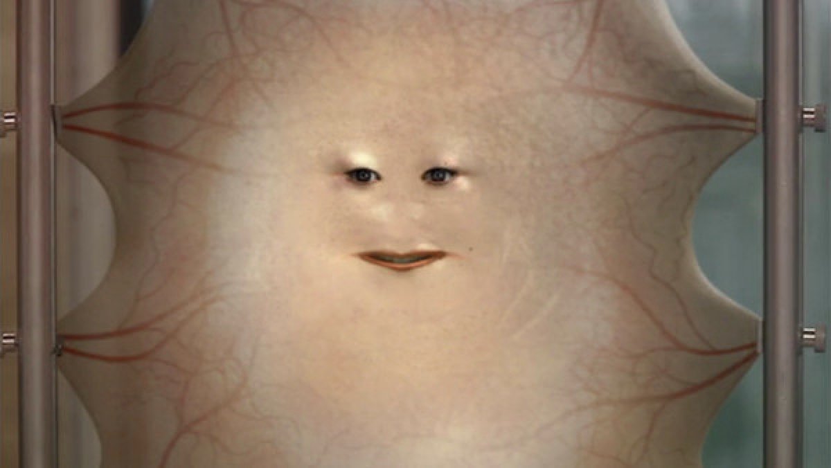 <a href="/MaximumADHD/">Max ¯\_(ツ)_/¯</a> "moisturize me, moisturize me"