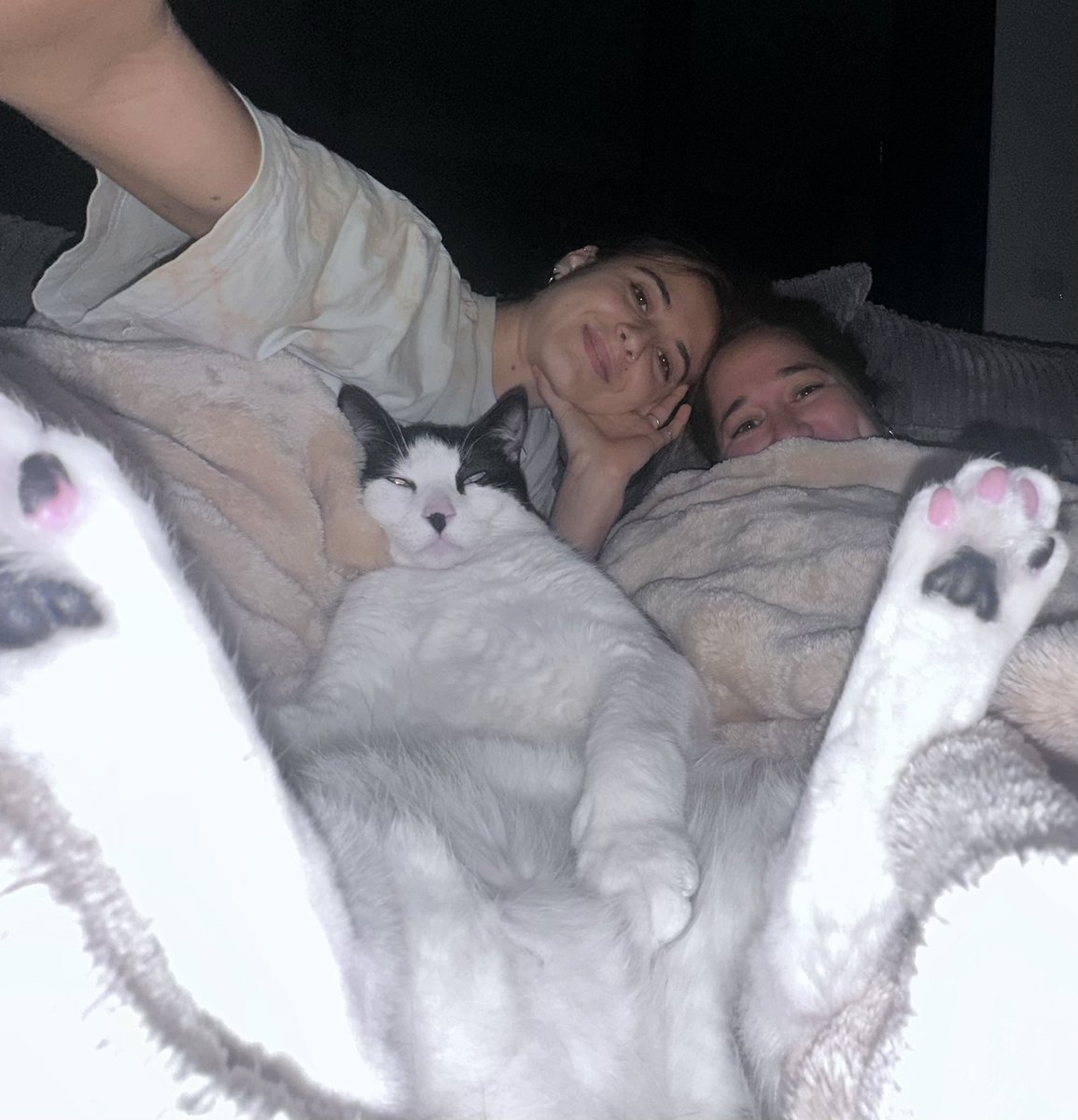 ריקי רוטר Riki Rotter tweet media