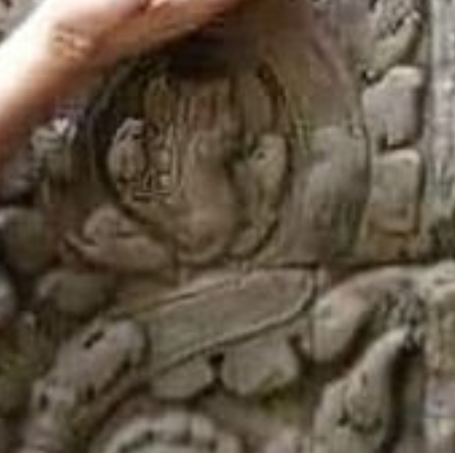 Observatory for Parliamentary Systems tweet media