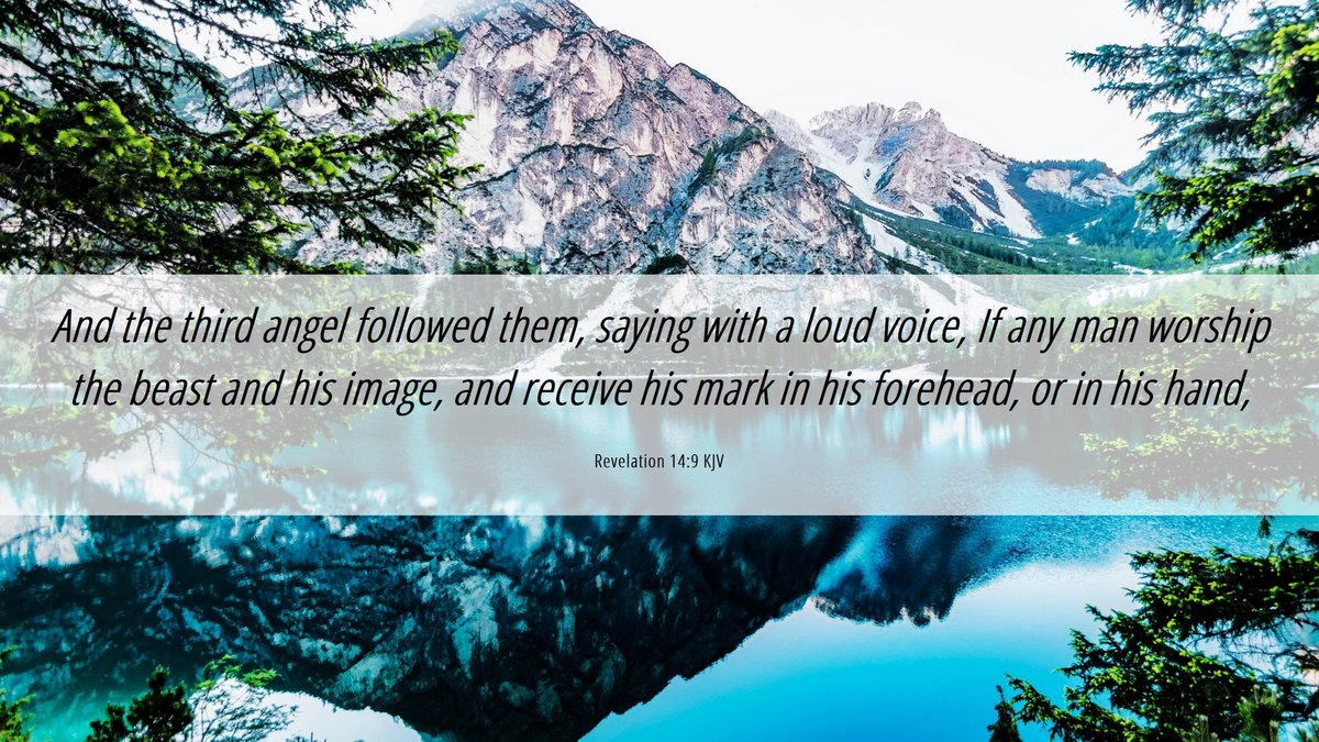 Project 144K tweet media