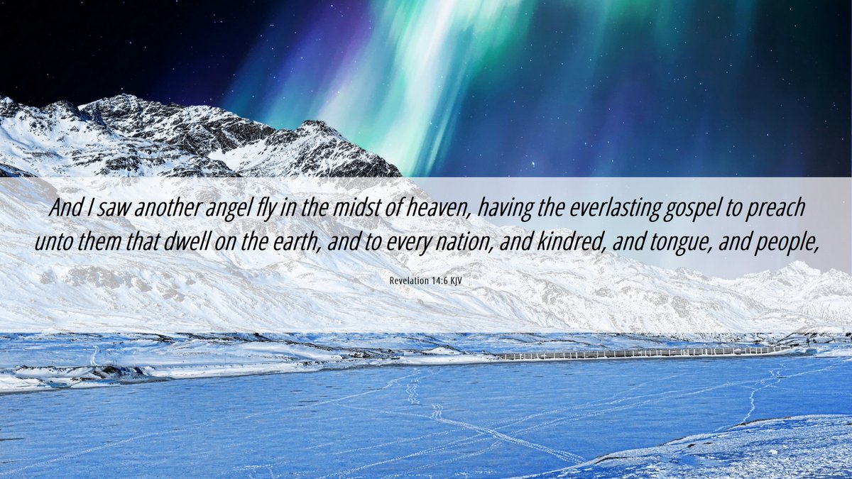 Project 144K tweet media