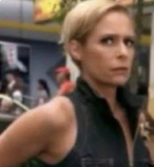 meu diário tweet media