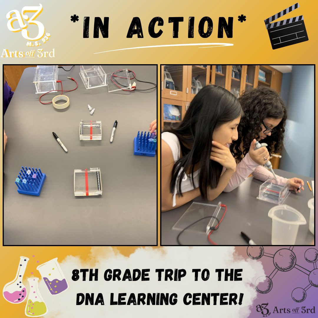 M.S. 936 Arts Off 3rd tweet media