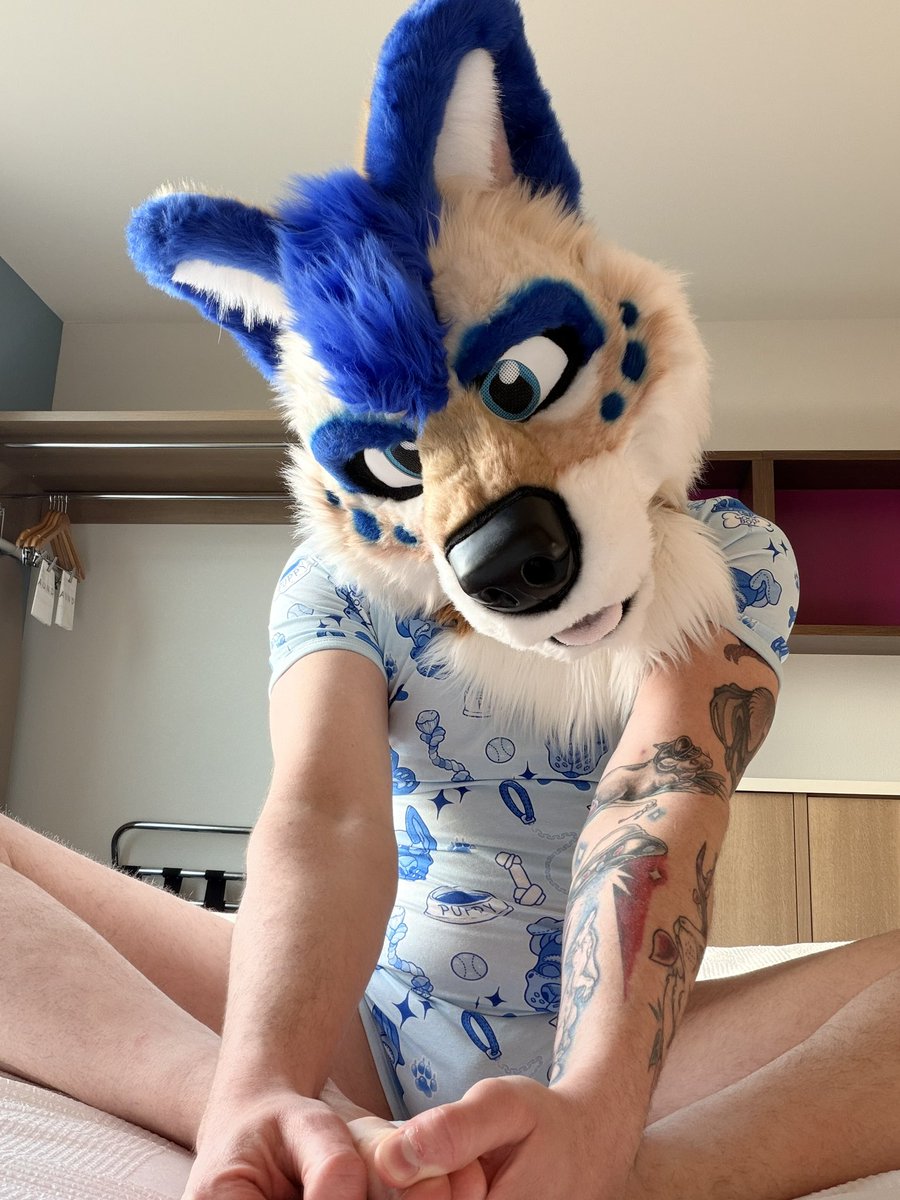 Xenon➡️FWA tweet media