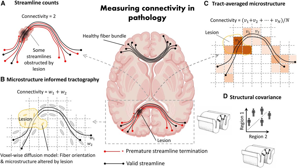 Andrew Zalesky tweet media