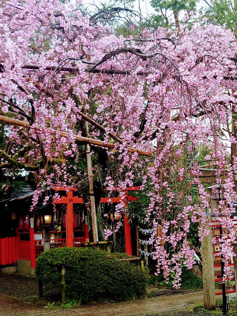 有賀 等 ✨ tweet media