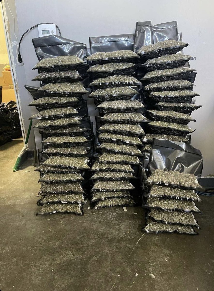 ELMER'S BUDD tweet media