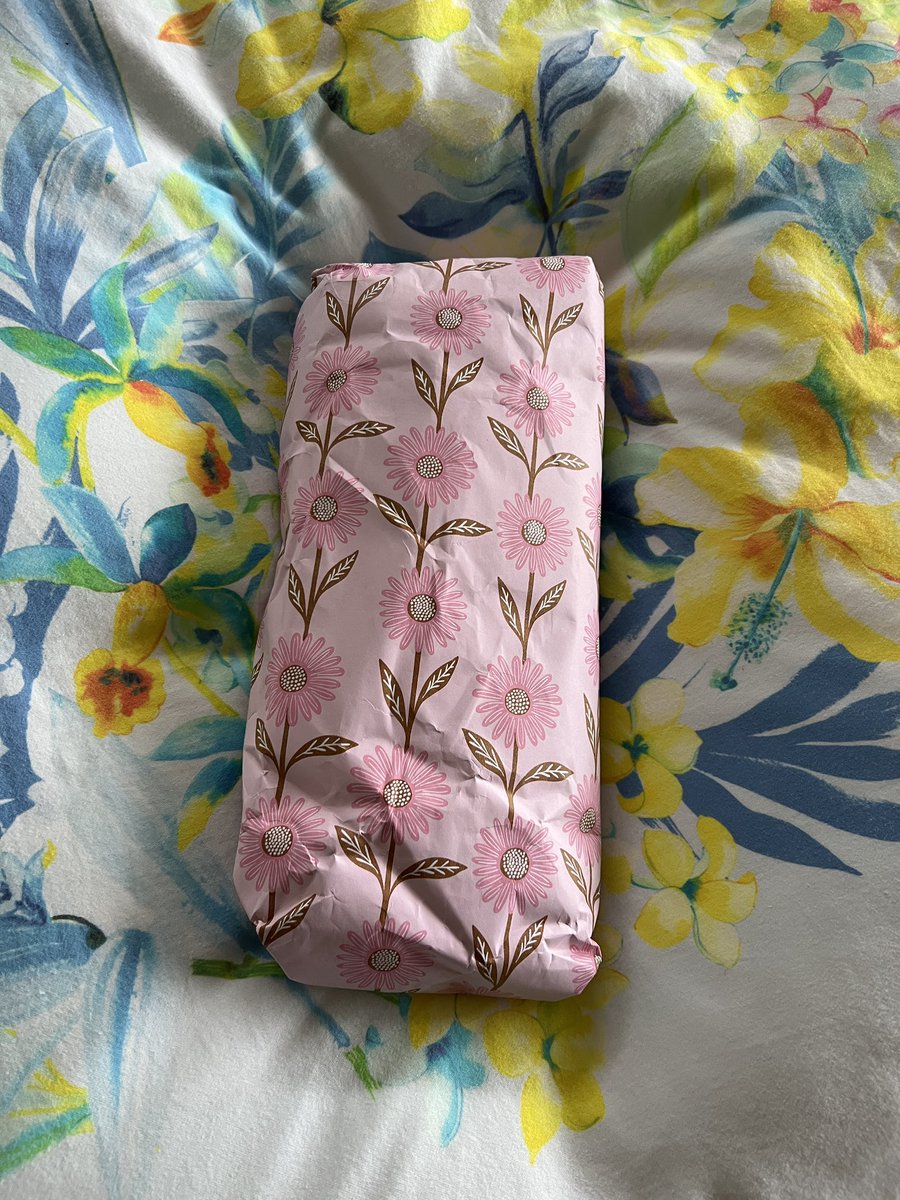 Annikakes 🇳🇿 tweet media