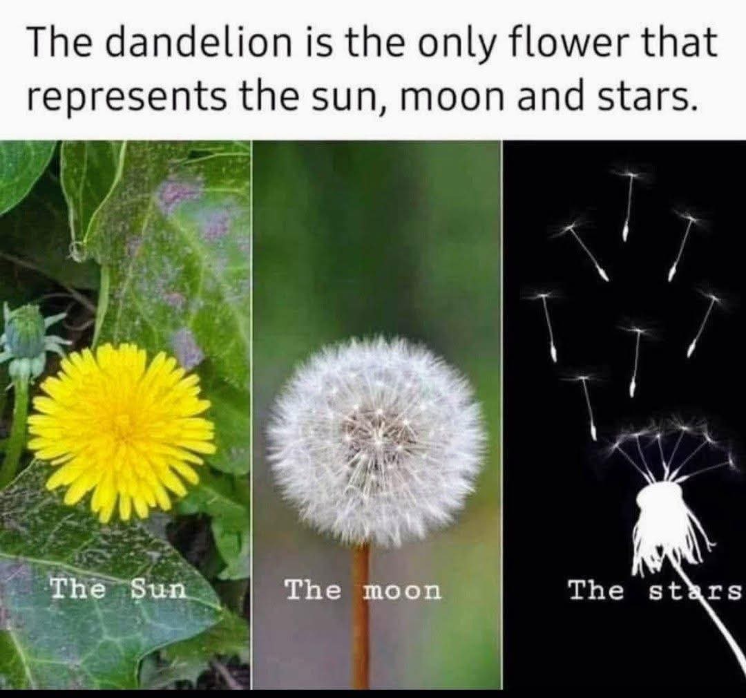 Emmanuel Dagher tweet media