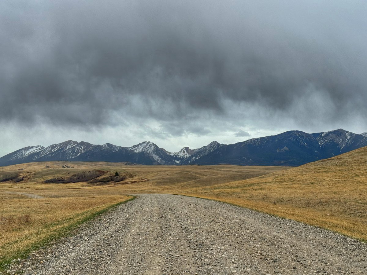 D. Scott tweet media