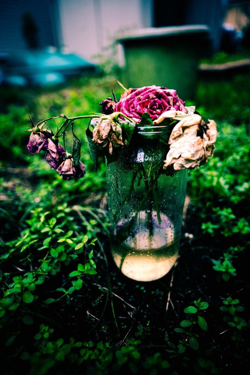 佐藤正幸 tweet media