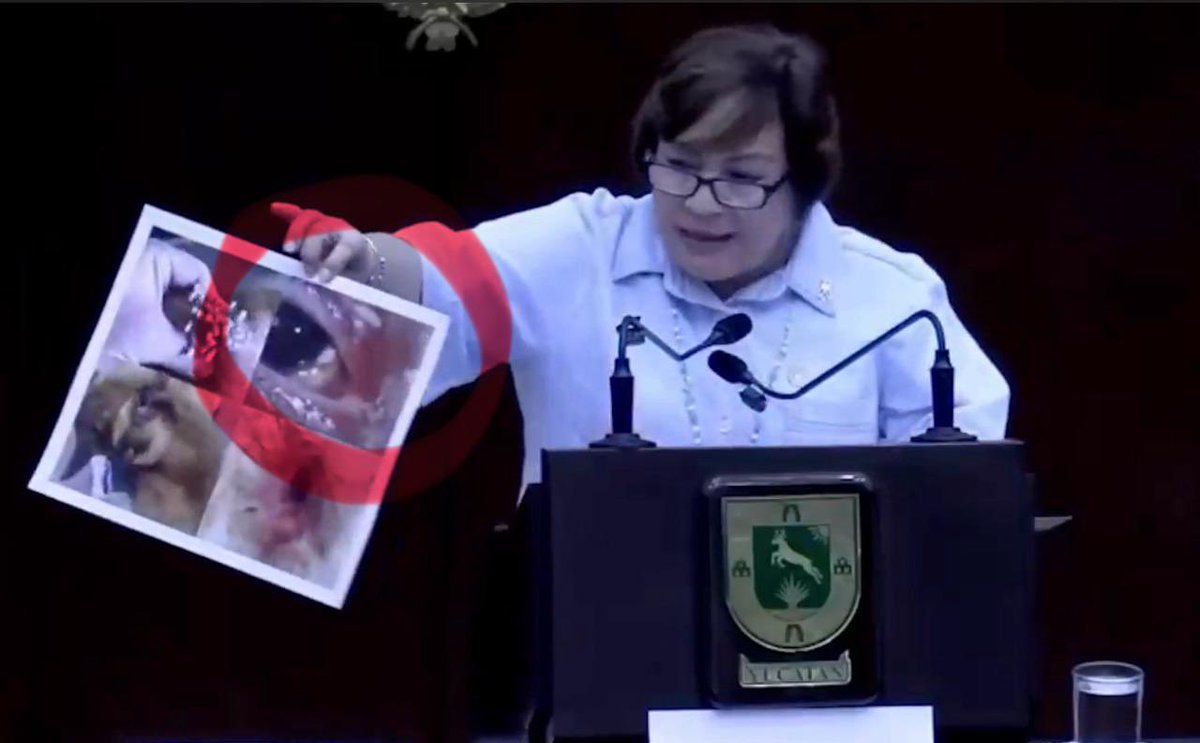 Juan Becerra Acosta tweet media