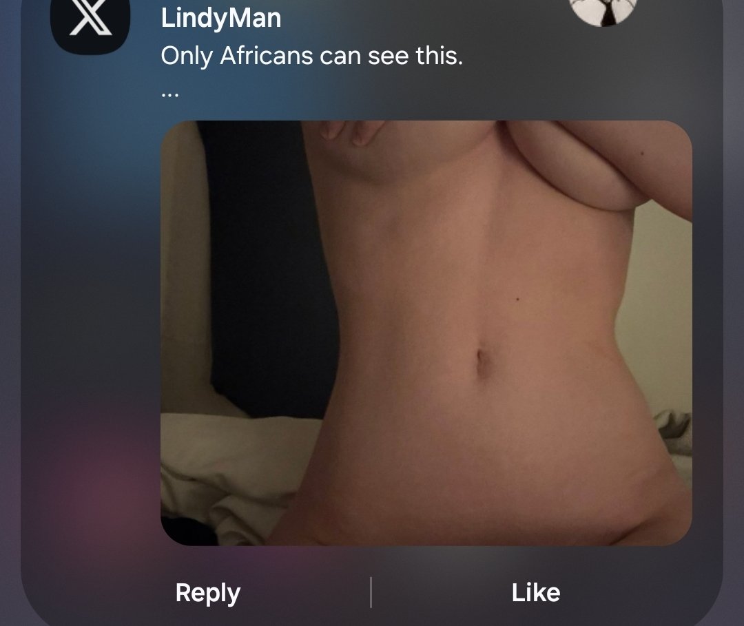 Lindy Archivist tweet media