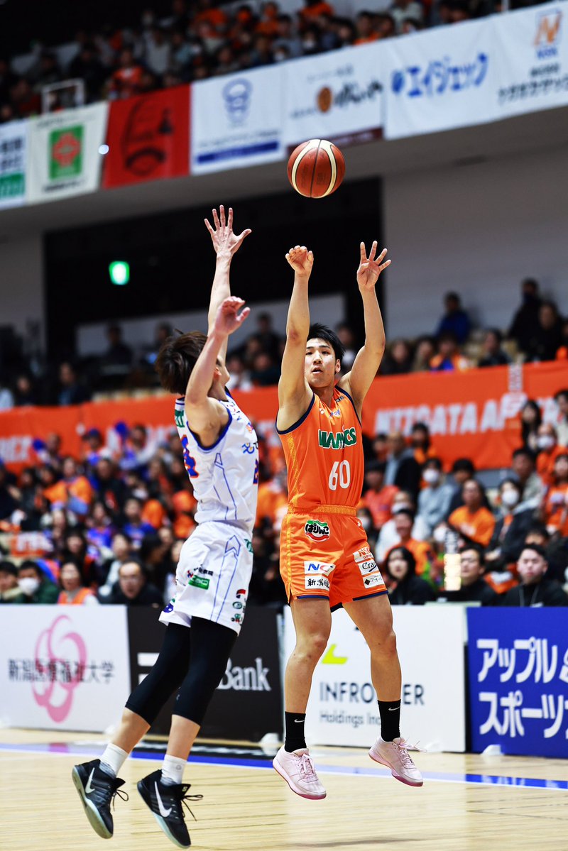 一匹猫 📸 tweet media