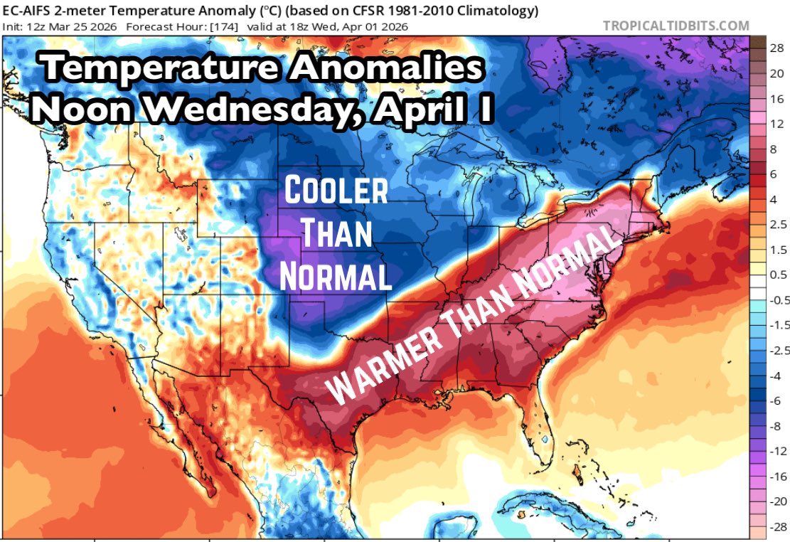 David Paul tweet media