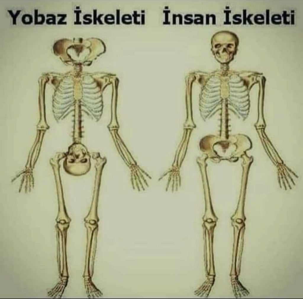 68’liler tweet media