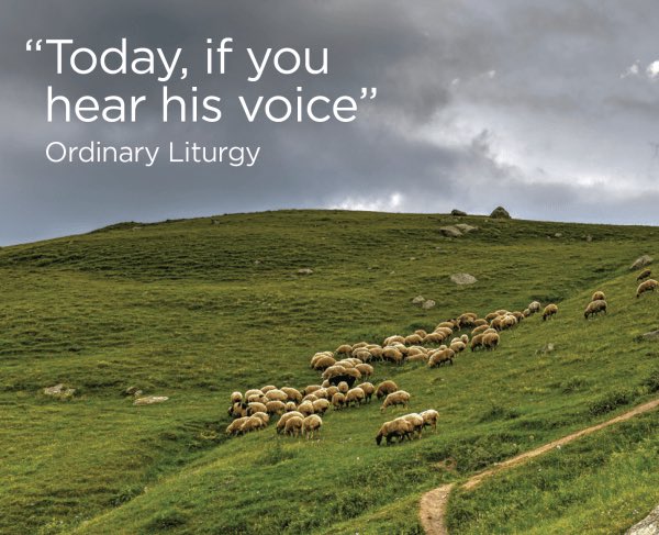 Prayer Book Society NSW tweet media