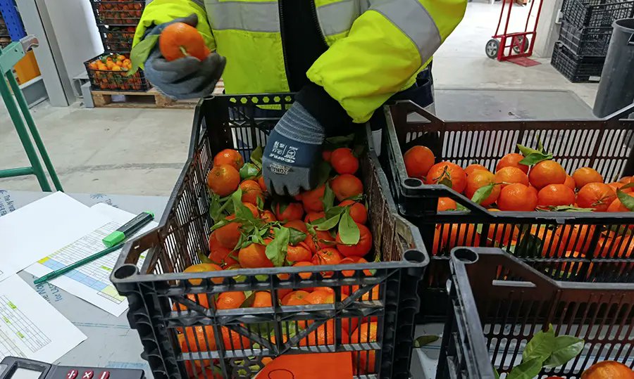 Restauración Colectiva tweet media