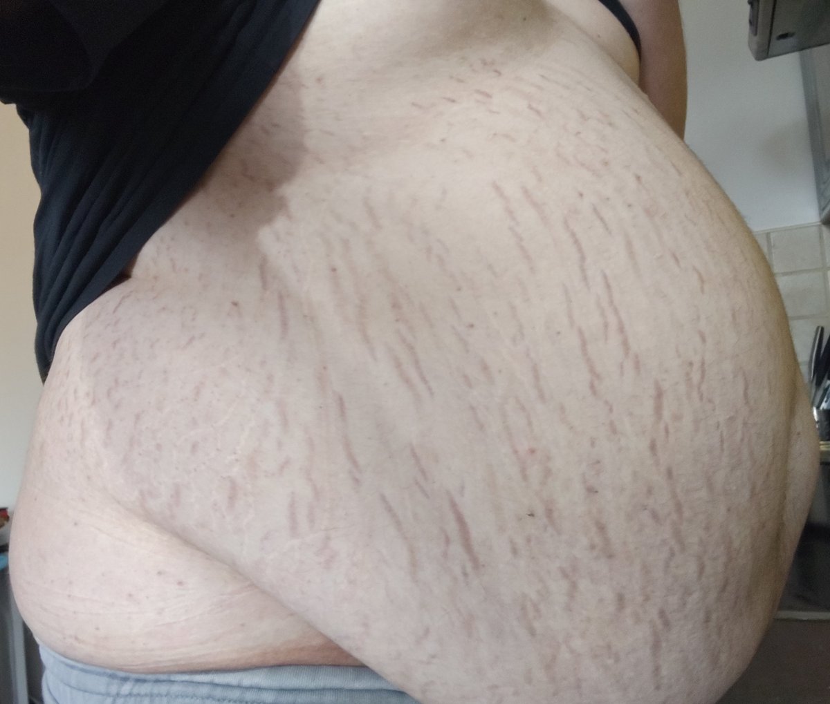 Gwyn The Samoyed tweet media