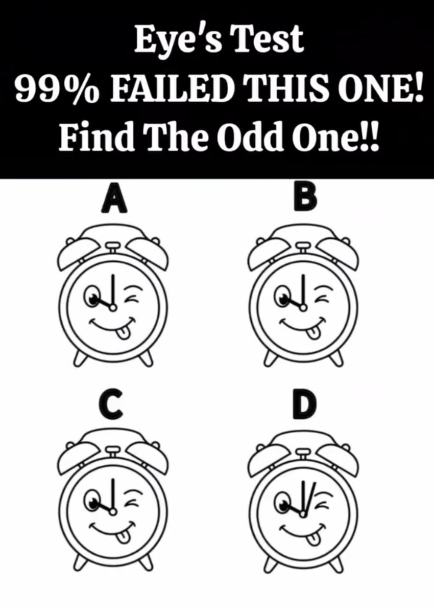 xylomyst✨ tweet media