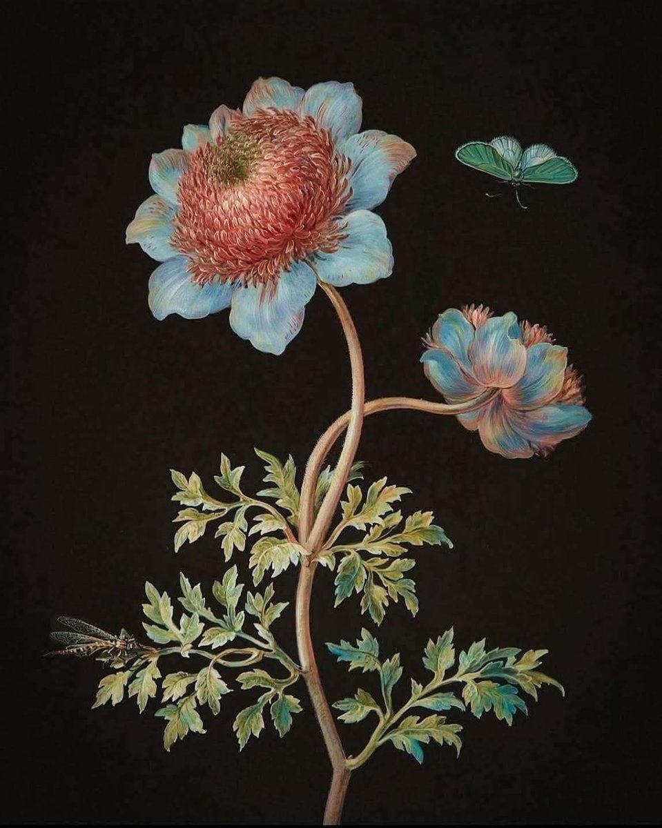 MΛЯIПΛ tweet media